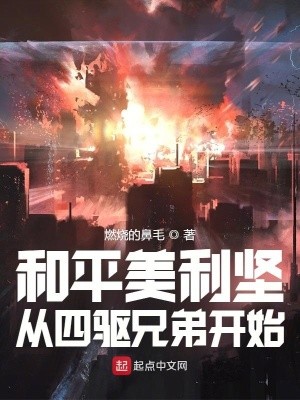 和平美利坚:从四驱兄弟开始封面