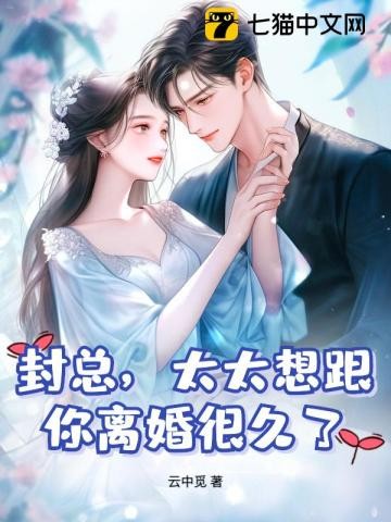 封总，太太想跟你离婚很久了封面