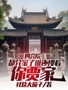 四合院：都分家了谁还惯着你贾家封面