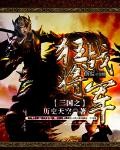 三国之狂战将军封面