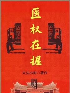 医权在握封面