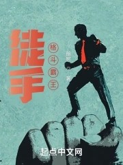 徒手格斗霸王封面