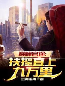 巅峰官途:扶摇直上九万里!封面