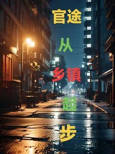 官途从乡镇起步封面