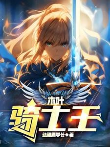 木叶骑士王封面