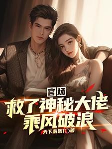 官场：救了神秘大佬，乘风破浪封面