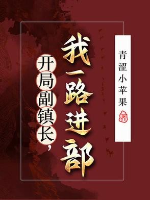 开局副镇长:我一路进部封面
