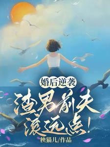 鸡毛婚姻几多愁封面