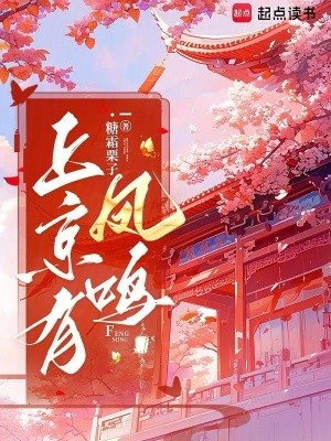 上京有凤鸣封面
