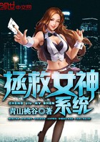 拯救女神系统封面