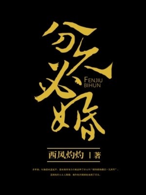 分久必婚封面