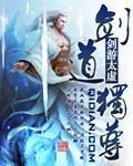 剑道独尊封面