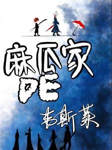 hp麻瓜家的韦斯莱封面