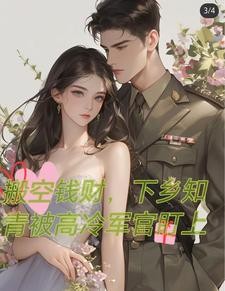 搬空钱财，下乡后被高冷军官盯上封面