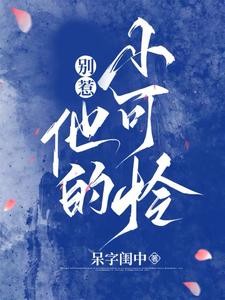 炽炀封面