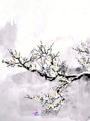 高枝难攀封面