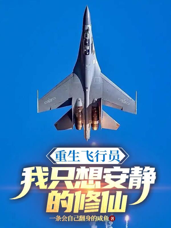 重生飞行员，我只想安静的修仙封面