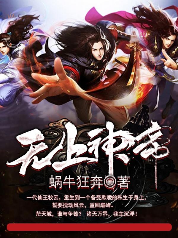 无上神帝封面
