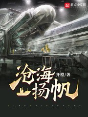 沧海扬帆封面