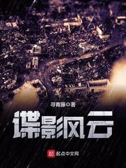 谍影风云封面