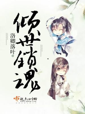 夏风沐瑾年封面