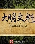 大明文魁封面