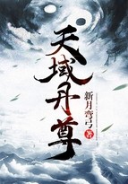 天域丹尊封面
