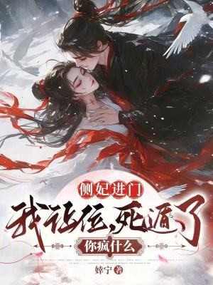 侧妃进门我让位，死遁了你疯什么封面