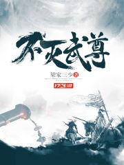 不灭武尊封面