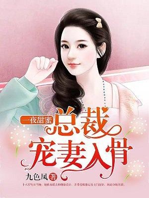 一夜甜蜜：总裁宠妻入骨封面