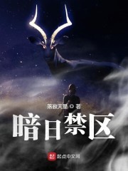 暗日禁区封面