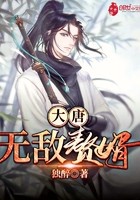大唐无敌赘婿封面