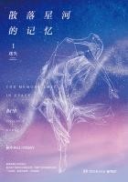 散落星河的记忆封面