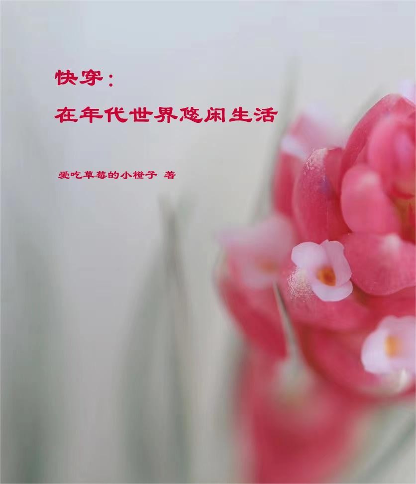 快穿：在年代世界悠闲生活封面