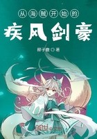从海贼开始的疾风剑豪封面