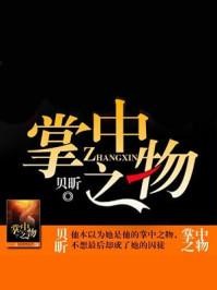 掌中之物封面