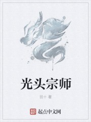 光头宗师封面