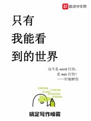 只有我能看到的世界封面
