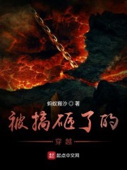 被搞砸了的穿越封面