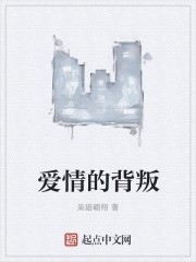 爱情的背叛封面