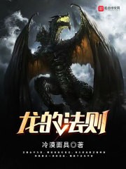 龙的法则封面