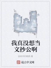我真没想当文抄公啊封面