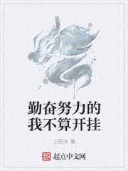 勤奋努力的我不算开挂封面