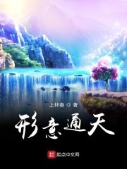 形意通天封面