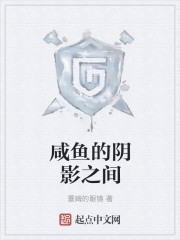 咸鱼的阴影之间封面