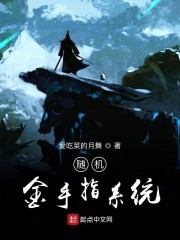 随机金手指系统封面