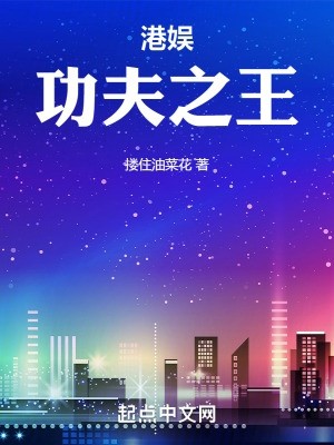 港娱：功夫之王封面