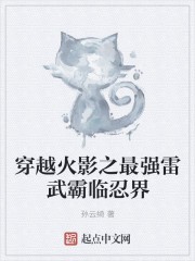 穿越火影之最强雷武霸临忍界封面