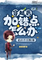 穿越后加错点怎么办封面