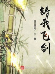 铸我飞剑封面